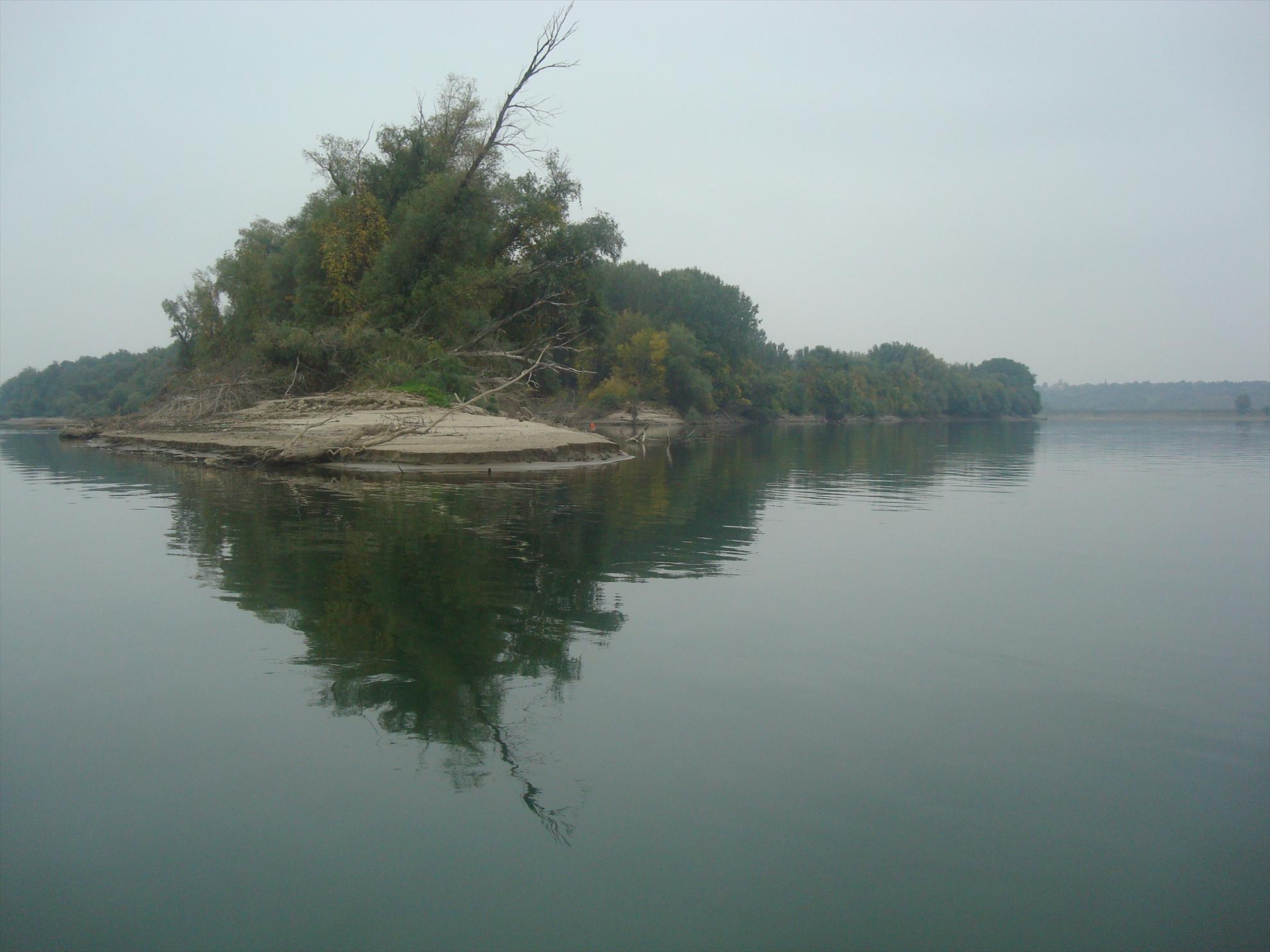 pescuit la Dunare - dsc04654.JPG